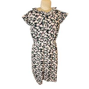 Banana Republic Floral Print Ruffle Collar Dress Button Front Sz. 12